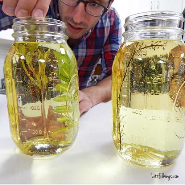 DIY Fotoeffekte-Getrocknete Blumen und Blätter in Öl tauchen-DIY Bastelidee