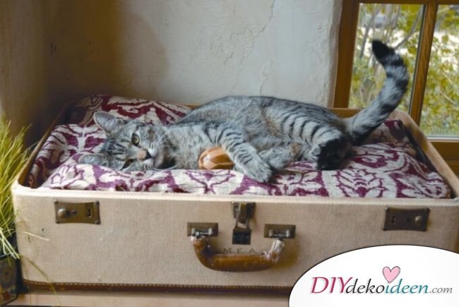 Bett für Haustiere basteln - Wohnideen mit alten Koffern