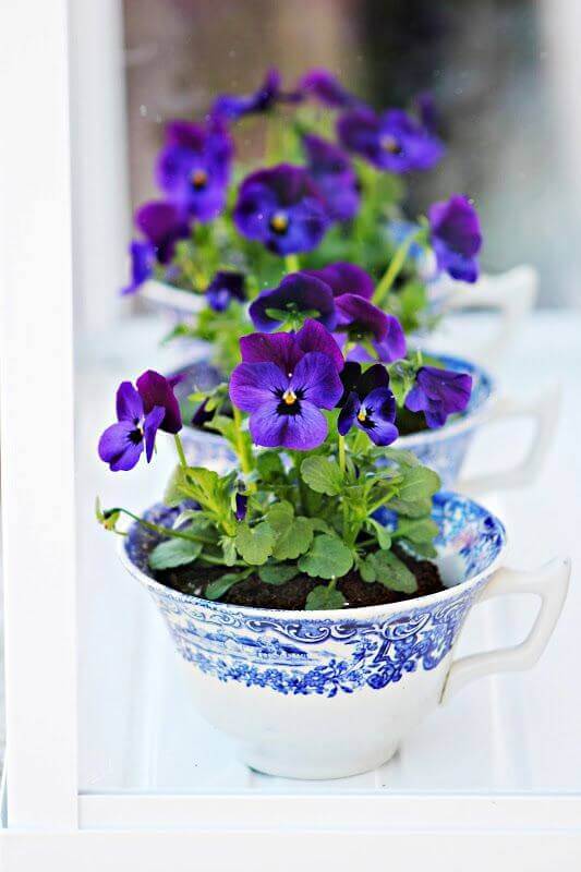 Mini Blumengarten in Tassen gestalten - Deko Ideen für den Frühling