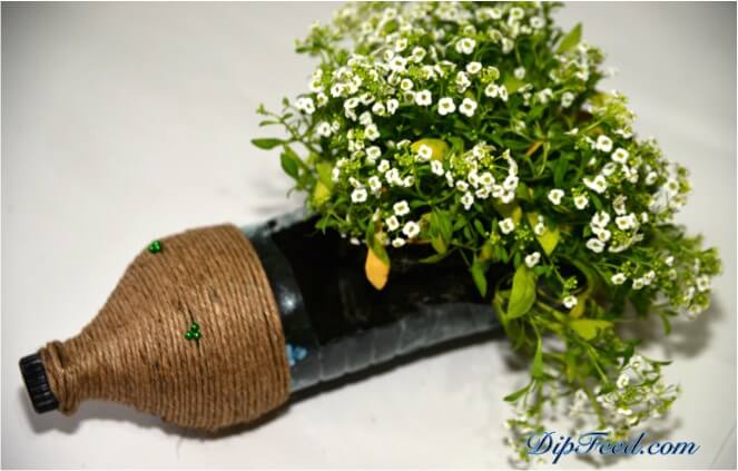 Igel förmige Plastikflasche zum Blumentopf zaubern