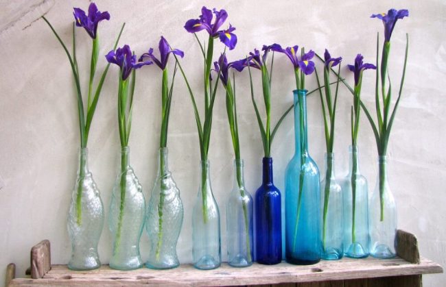 DIY Wohnideen mit Blumen - Frühlingsdeko zum Selbermachen
