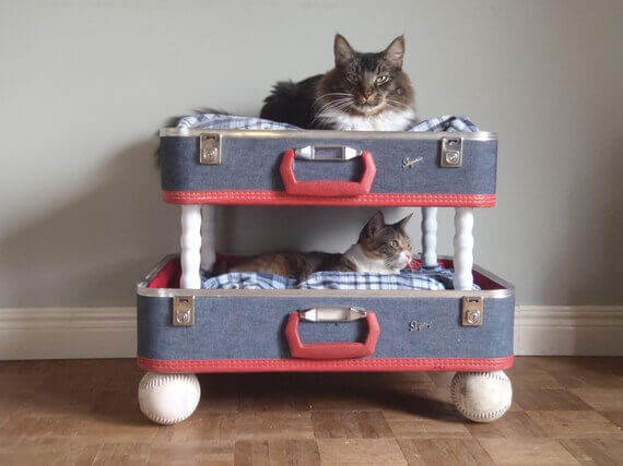 Katzenbett selber bauen - lustige Ideen mit alten Koffern