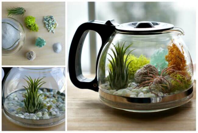 Aus einer Kaffeekanne ein Mini Terrarium gestalten - DIY Küchendeko