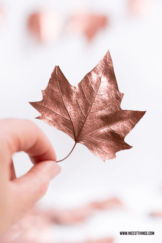 DIY Wohndeko-Ideen mit Spraydosen, Blätter besprühen, Herbst-Deko, Girlande
