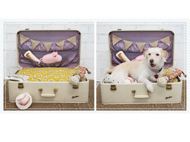 Koffer zum Hundebett gestalten - DIY Bett aus einem alten Koffer