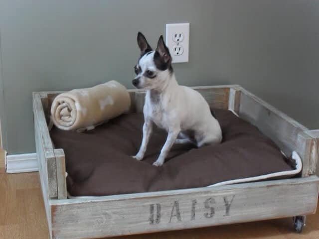 alte Holzkiste wiederverwenden - Bett für Haustiere