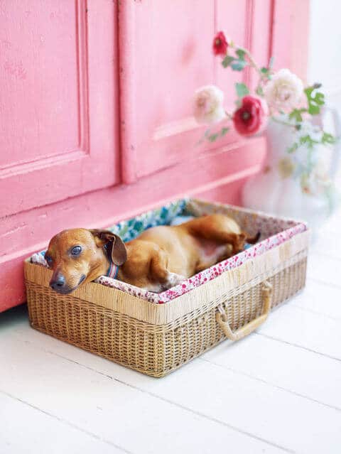 DIY Hundebett aus alten Kisten gestalten