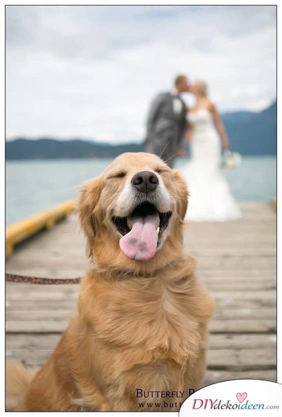  Witzige Hochzeitsfotos - Heiraten 