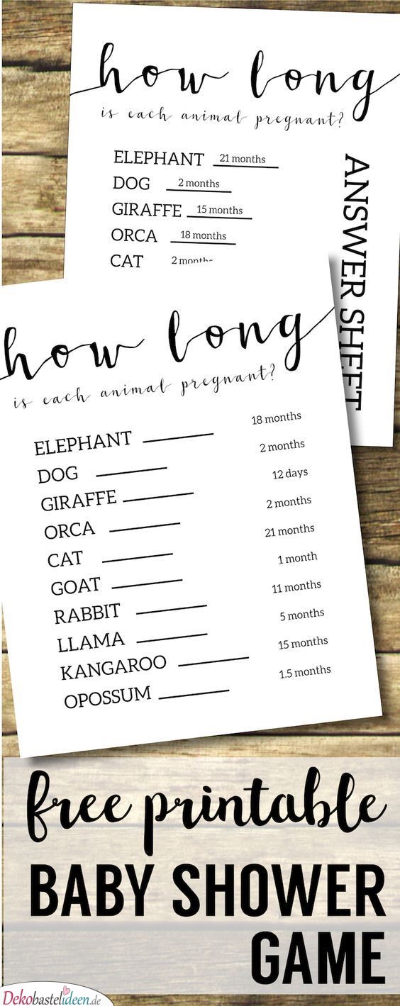 Babyparty Spiele Quiz – Wie lange sind diese Tiere trächtig
