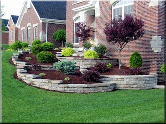 Evergreen bush and small trees - garden design ideas images 